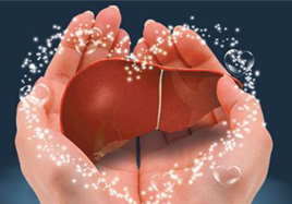 注意了，這種保健食品將修復(fù)保護(hù)肝細(xì)胞