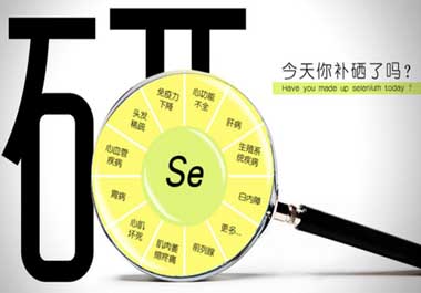 補硒的食物有哪些