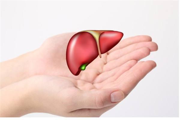 肝不好的全身性危害