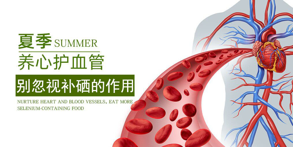 為什么說硒元素是“心臟的守護神”？