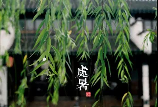 處暑養(yǎng)生小常識，謹記滋陰潤肺防秋燥