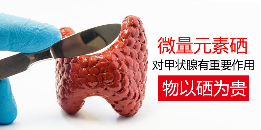 物以“硒”為貴，甲狀腺疾病能適當(dāng)補(bǔ)硒嗎？