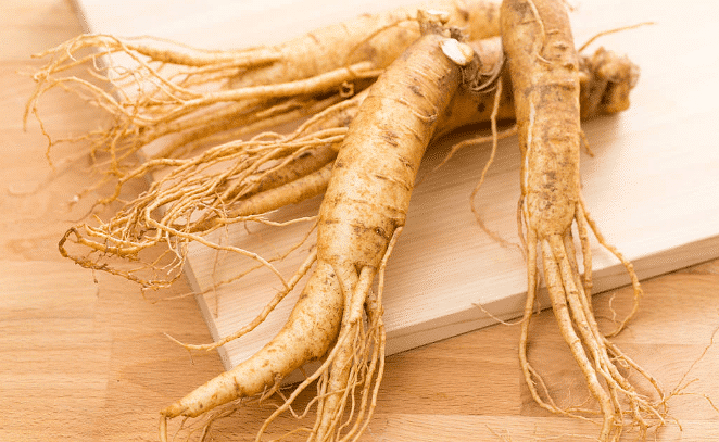 人參皂苷RH2在體外對(duì)黑色素瘤B16細(xì)胞具有分化誘導(dǎo)作用