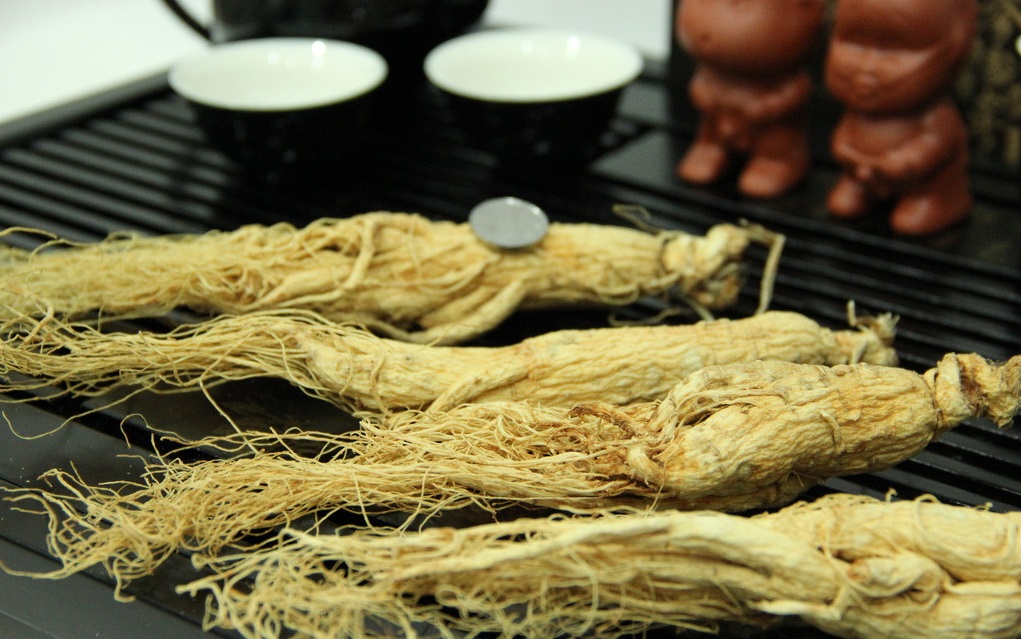 什么是人參皂苷？它對(duì)人體的健康有哪些功效？