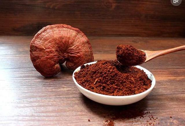 靈芝孢子粉可以和藥物一起服用嗎