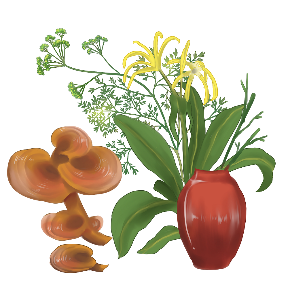 冬季適合服用靈芝孢子粉嗎？