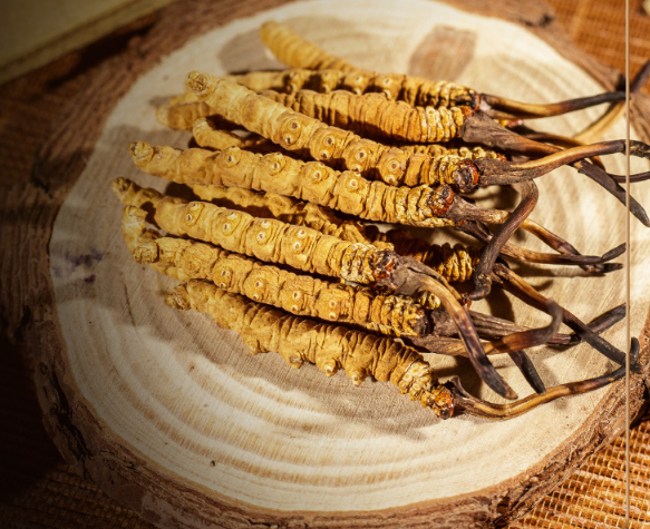 冬蟲夏草，給身上來(lái)個(gè)大掃除