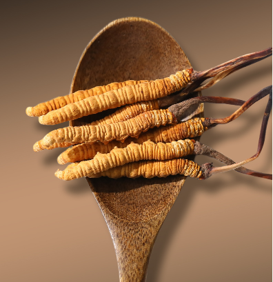 這6類(lèi)人適合吃冬蟲(chóng)夏草！