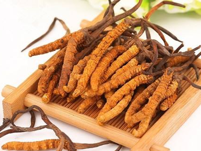 蟲草素？冬蟲夏草里的蟲草素是什么？