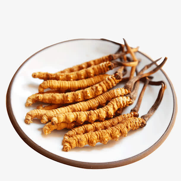 冬蟲夏草菌絲體是如何產(chǎn)生的？