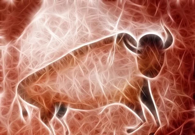 牛磺酸到底對人體神經(jīng)系統(tǒng)有什么好處？