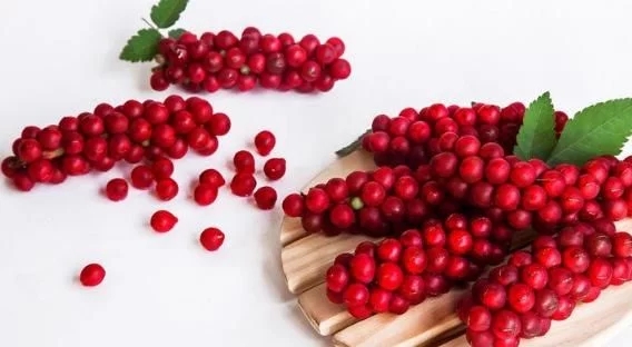 五味子的藥性搭配，五味子好，但這2類人不宜食用