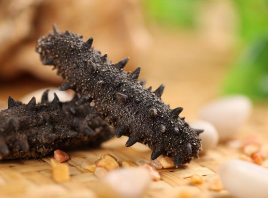 吃海參有什么好處？但有些人最好還是不要吃