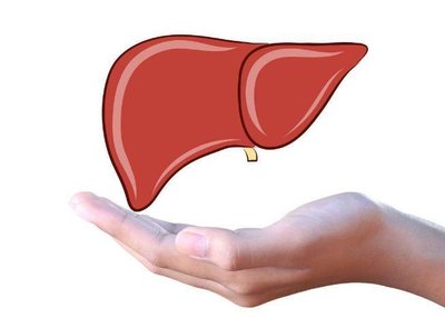 脂肪肝對(duì)人體的危害