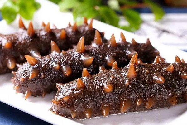  海參：海洋的瑰寶，健康的源泉