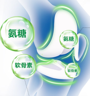 骨關(guān)節(jié)養(yǎng)護(hù)“潛力股”，氨糖的作用有什么？