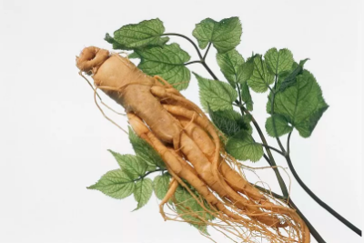 人參皂苷rh2和rg3相比，誰(shuí)更強(qiáng)？