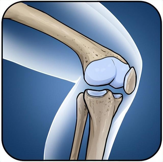 氨糖：給關(guān)節(jié)一份溫柔的呵護(hù)