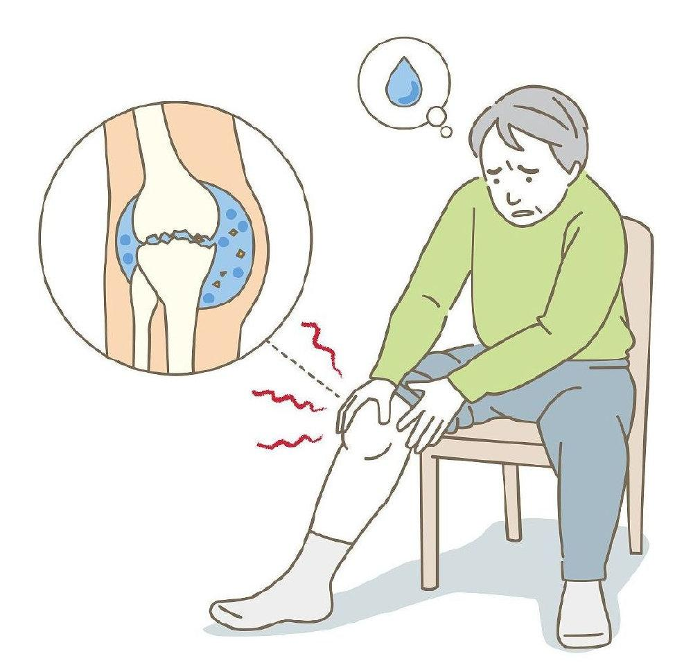 氨糖是軟骨“保護劑”，長期服用可以修復關(guān)節(jié)？