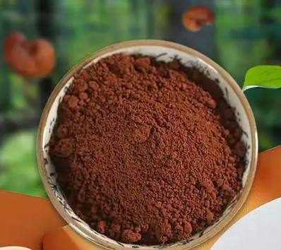 靈芝孢子粉：千年仙草的現(xiàn)代健康密碼