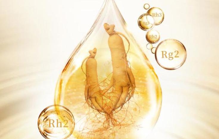 細(xì)說(shuō)人參皂苷：揭開